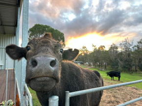 Tanjanerup Chalets. “Clementine”, Nannup
